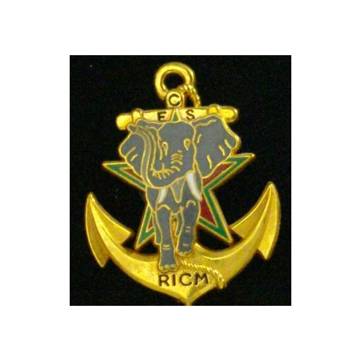 RICM : RÉGIMENT D'INFANTERIE CHARS DE MARINE ECS TYPE 2