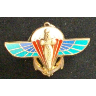 2° RPIMA : 2° RÉGIMENT PARA D'INFANTERIE DE MARINE ARGENTÉ