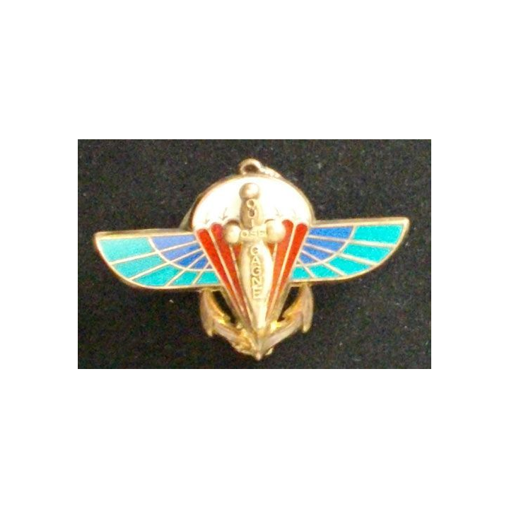 2° RPIMA : 2° RÉGIMENT PARA D'INFANTERIE DE MARINE ARGENTÉ