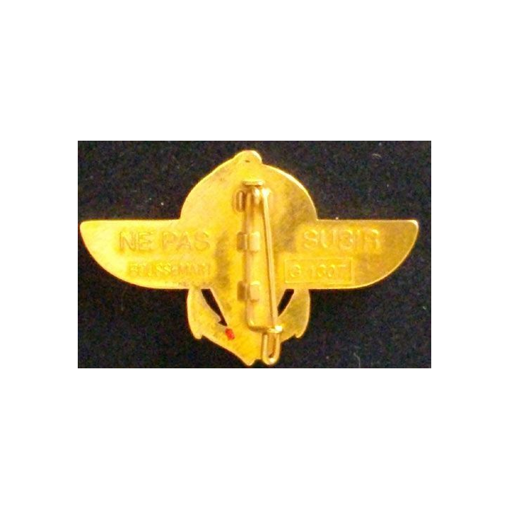 2° RPIMA : 2° RÉGIMENT PARA D'INFANTERIE DE MARINE DORÉ
