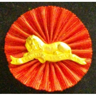 INSIGNE DES PRÉVOYANTS DE L'AVENIR