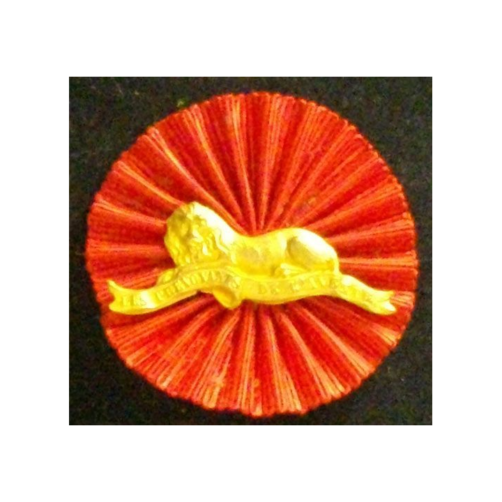 INSIGNE DES PRÉVOYANTS DE L'AVENIR