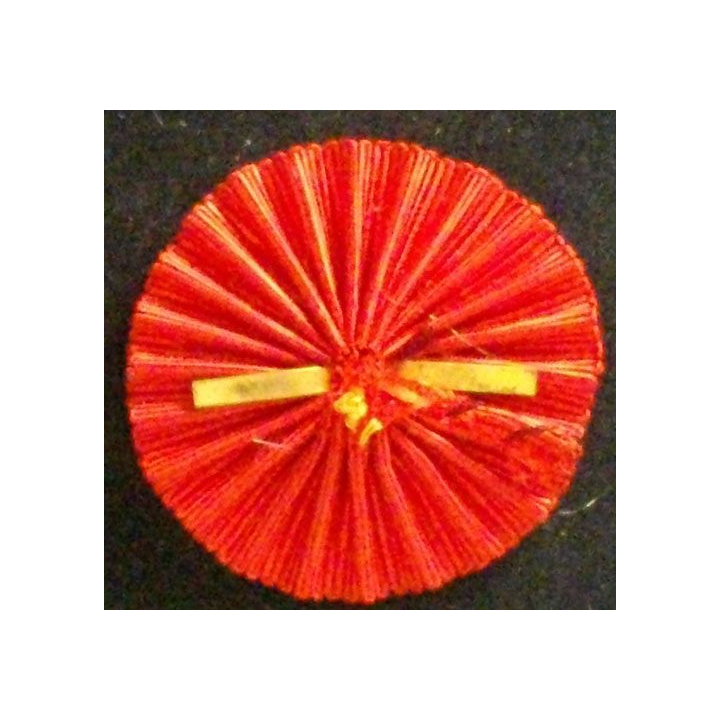 INSIGNE DES PRÉVOYANTS DE L'AVENIR
