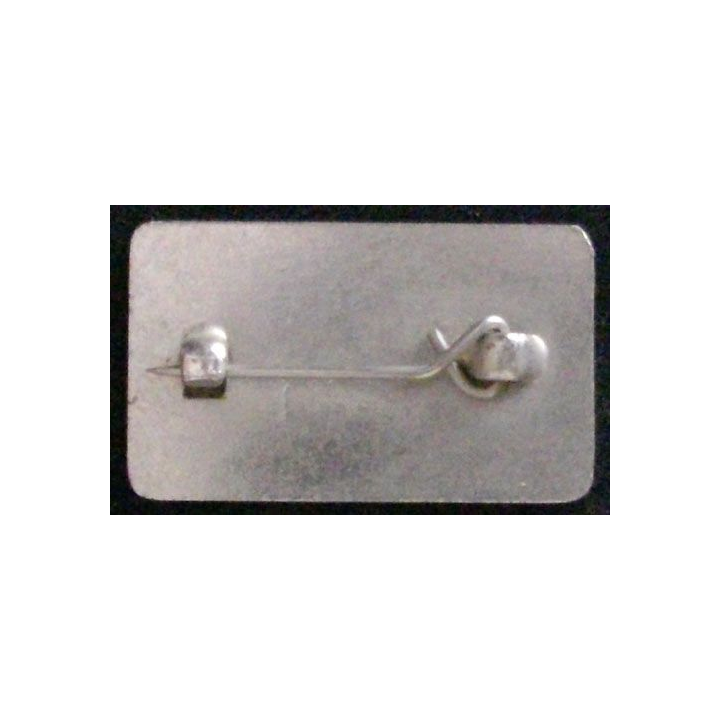 PIN'S DES JEUX OLYMPIQUES ANGLETERRE / AMERICAN EXPRESS