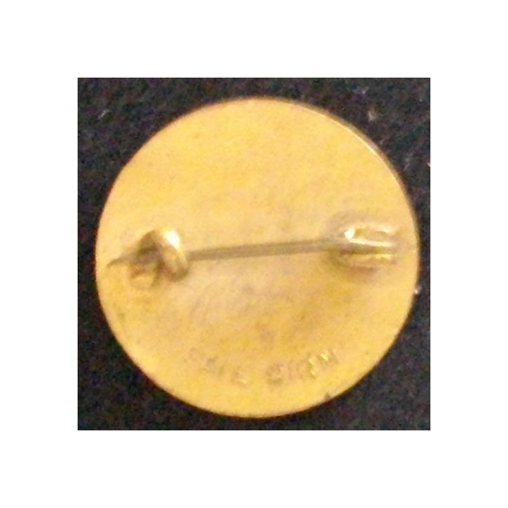 PIN'S DU SYNDICAT NATIONAL UNION TOWNSWOMEN'S GUILD