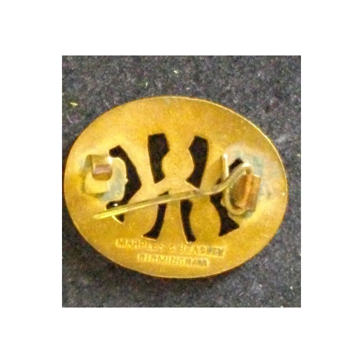 PIN'S FOR HOME AND COUNTRY