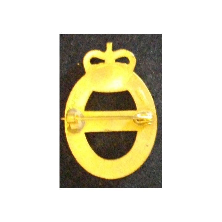 INSIGNE GB INSTRUCTOR CIVIL DEFENSE