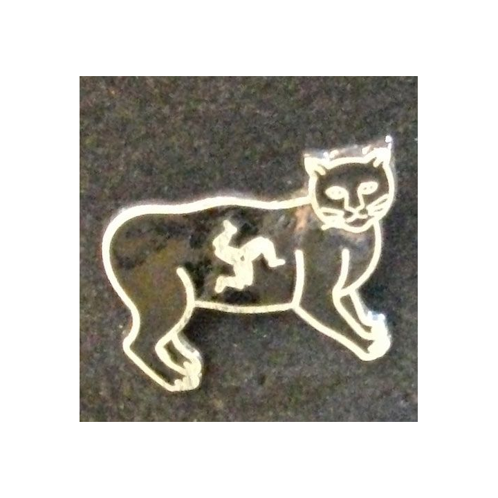 INSIGNE GB POLITIQUE ??? CHAT NOIR