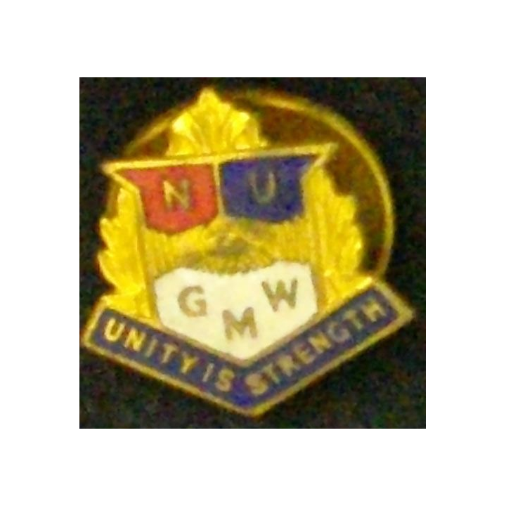 INSIGNE GB NATIONAL UNION GMW UNITY IS STRENGTH