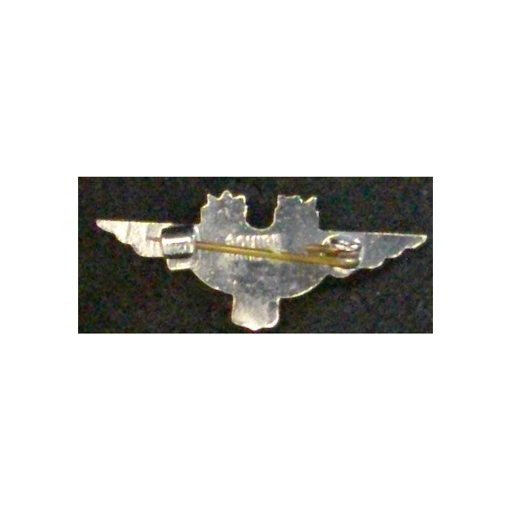WING FOR SCANDINAVIAN AIRLINES SYSTEMS (SAS)