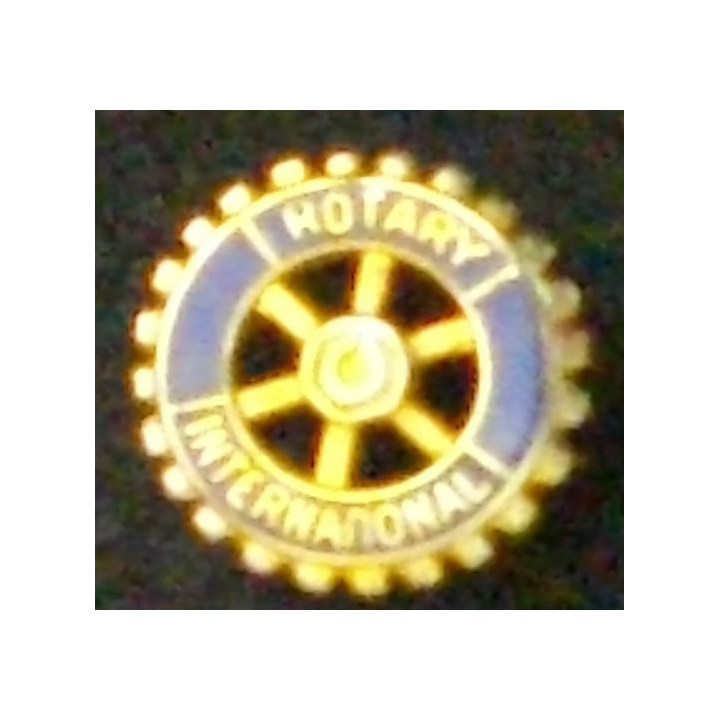 PIN'S DU ROTARY INTERNATIONAL