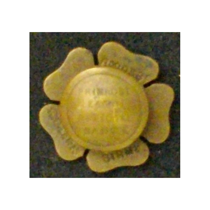 INSIGNE OFFICIEL DE LA PRIMROSE LEAGUE