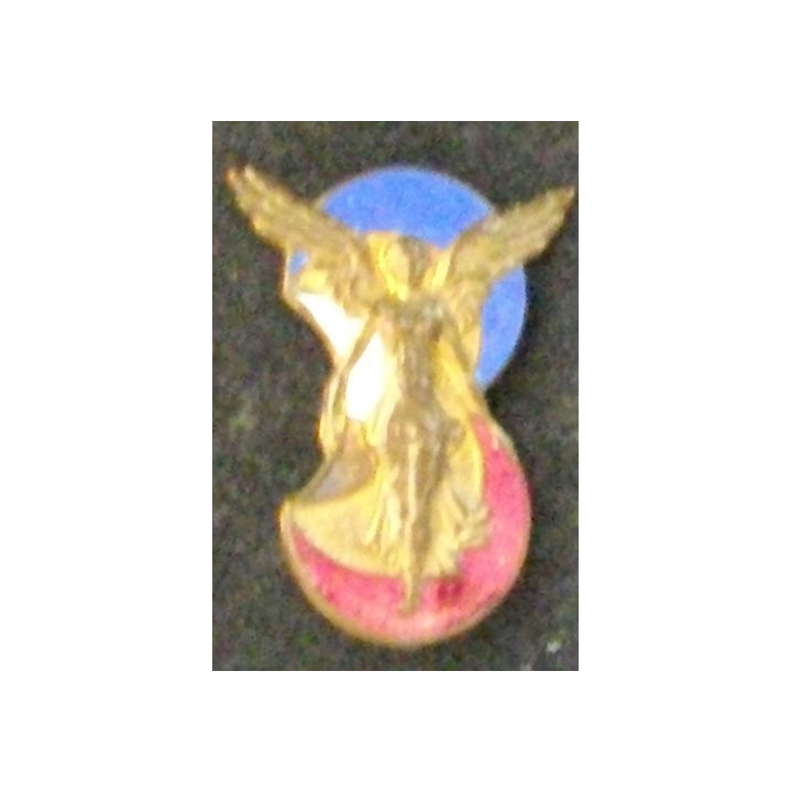 NORD AFRIQUE : 3° DIA DIVISION D'INFANTERIE ALGÉRIENNE 27 mm