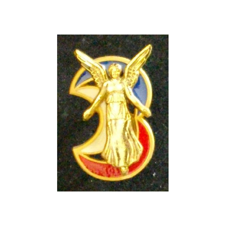 NORD AFRIQUE : 3°DIVISION D'INFANTERIE ALGÉRIENNE 31 mm (SHELI)
