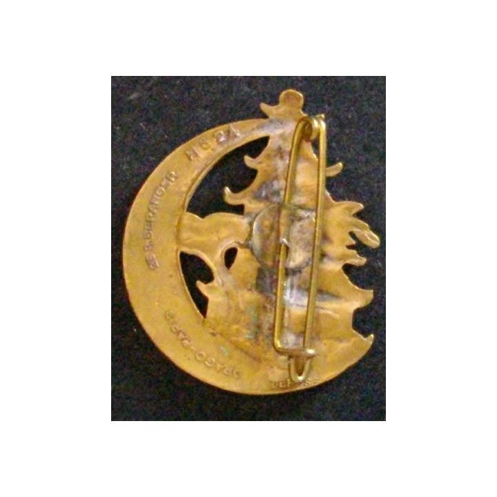 1° DEMI BRIGADE DE MARCHE TIRAILLEURS ALGÉRIENS