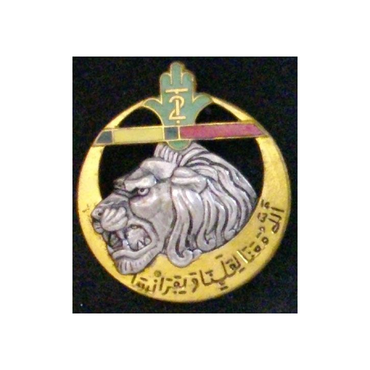 RTA : 2° RÉGIMENT DE TIRAILLEURS ALGÉRIENS (MÉDAILLE MILI + LH)