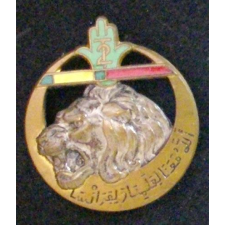 RTA : 2°RÉGIMENT DE TIRAILLEURS ALGÉRIENS (MÉDAILLE MILI + LH)
