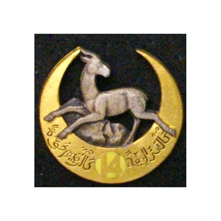 RTA : 14° RÉGIMENT DE TIRAILLEURS ALGÉRIENS (14 ÉMAIL)