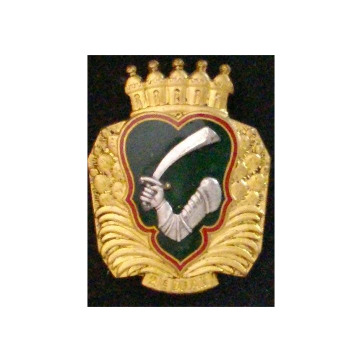 NORD AFRIQUE : 21°DIVISION D'INFANTERIE ALGÉRO-TUNISIENNE DIAT