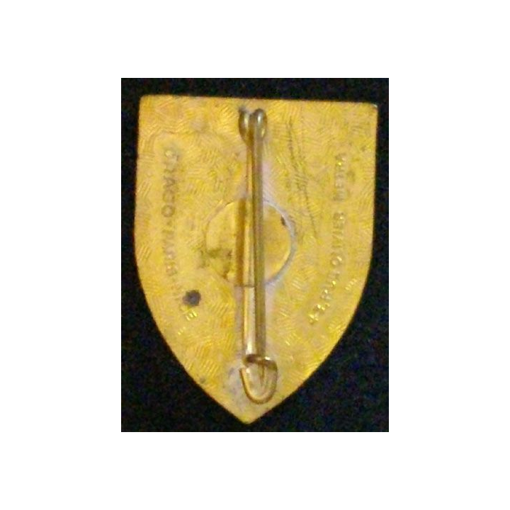 2° DIM : 2° DIVISION D'INFANTERIE MAROCAINE TYPE 2 (DOM)