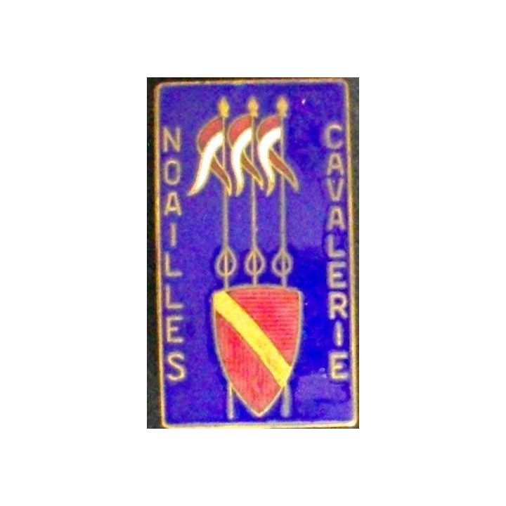 15° RD : 15° RÉGIMENT DE DRAGONS NOAILLES CAVALERIE AMICALE