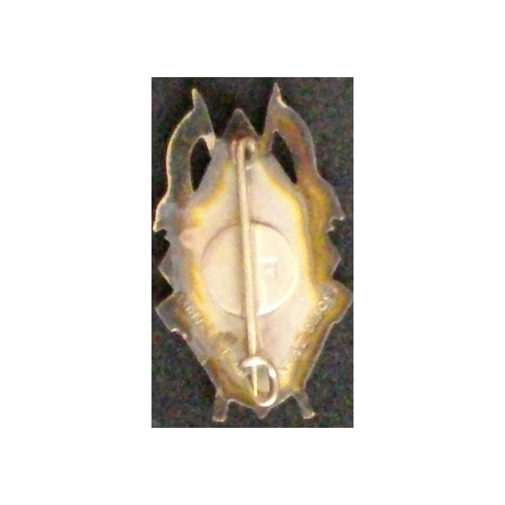 1° RD : 1° RÉGIMENT DE DRAGONS LOSANGE MODÈLE 1939 ABPD
