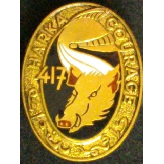20°RD : 20°RÉGIMENT DE DRAGONS HARKA 417