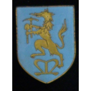 302°BPNA : 302°BATAILLON DE PIONNIERS NORD AFRICAINS