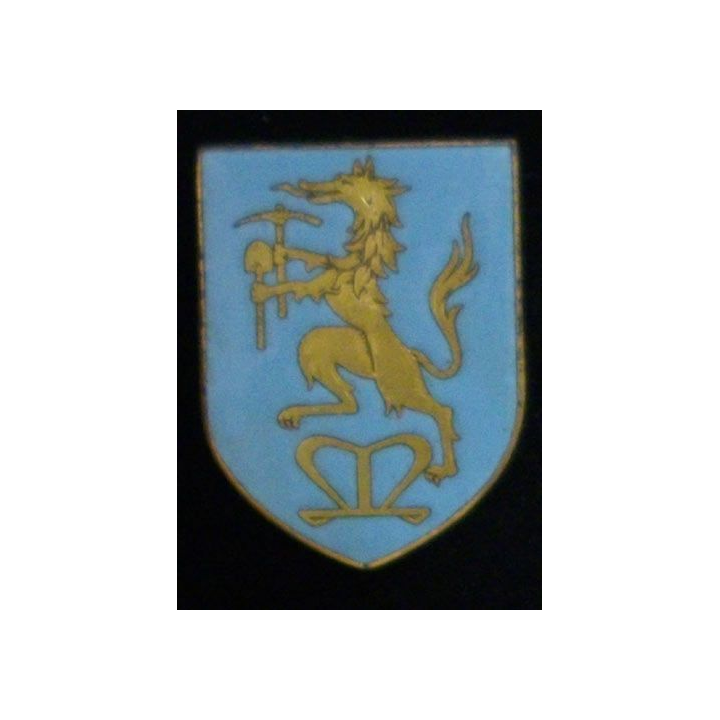 302°BPNA : 302°BATAILLON DE PIONNIERS NORD AFRICAINS