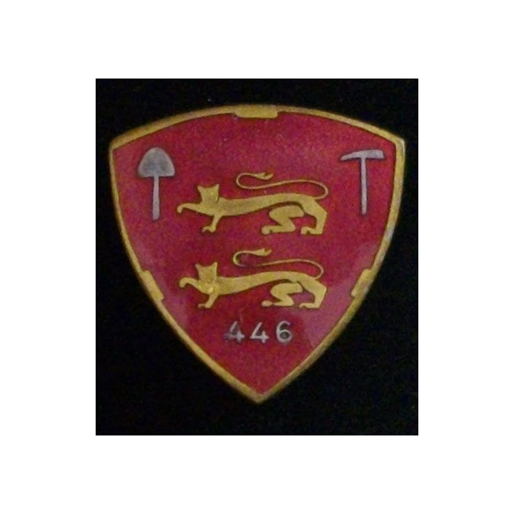 446° RP : 446° RÉGIMENT DE PIONNIERS chobillon