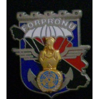 17° RGP : 17° RÉGIMENT DU GÉNIE PARACHUTISTE FORPRONU N°841 1°M