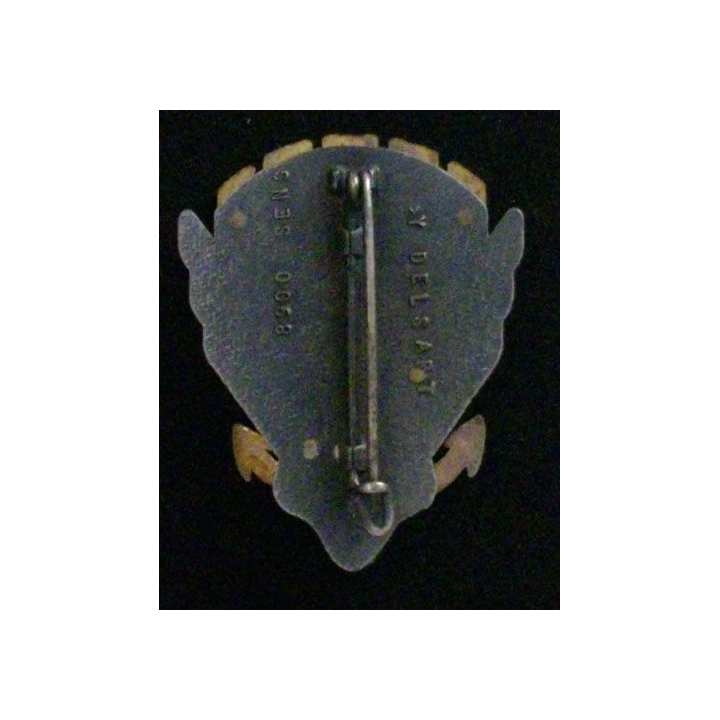 17° RGP : 17° RÉGIMENT DU GÉNIE PARACHUTISTE 3°COMPAGNIE (DELS)