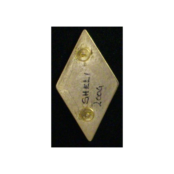 1° RG : 1° RÉGIMENT DU GÉNIE (SHELI 2004)