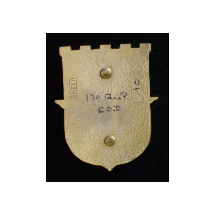 17° RGP : 17° RÉGIMENT DU GÉNIE PARACHUTISTE EOD