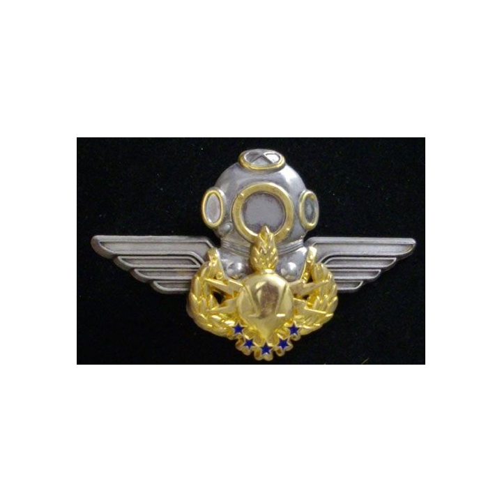 17° RGP : 17° RÉGIMENT DU GÉNIE PARACHUTISTE SLRO N°267