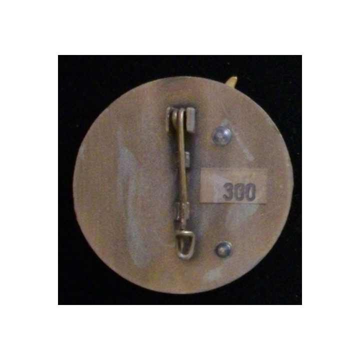 2° REG : 2° RÉGIMENT ÉTRANGER DU GÉNIE COMPAGNIE D'APPUI N°300