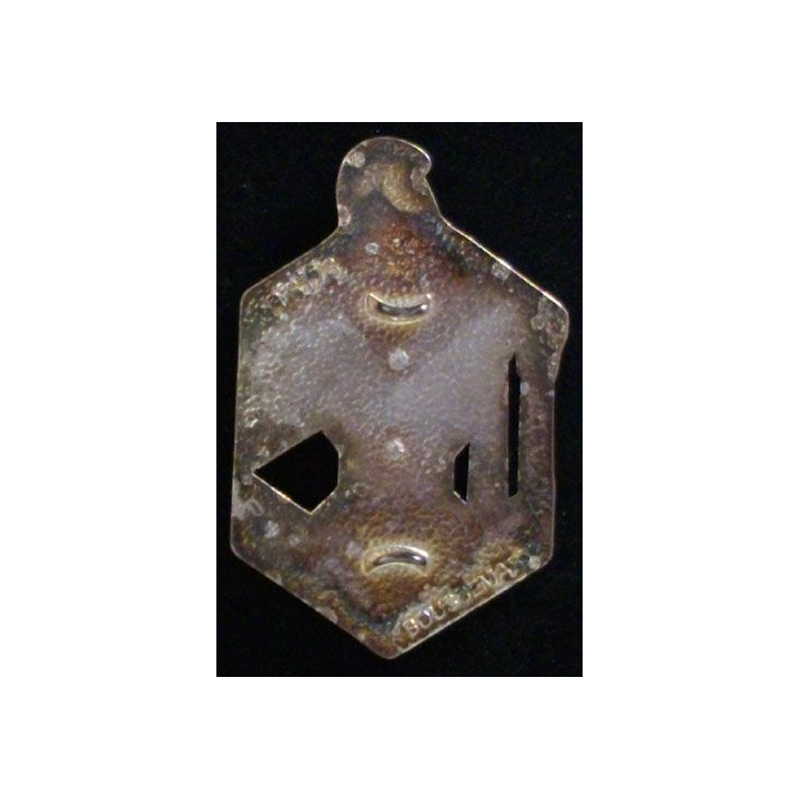 6° REG : 6° régiment étranger du génie Boussemart G. 3173 prestige argenté translucide