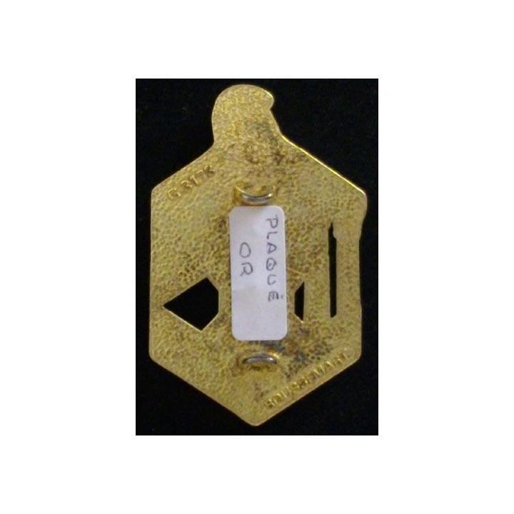 6° REG : 6° régiment étranger du génie Boussemart G. 3173 prestige
