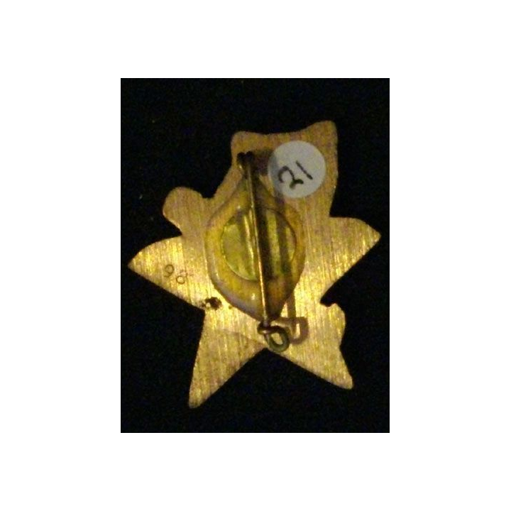 31° RG : 31° RÉGIMENT DU GÉNIE 1° COMPAGNIE N°98