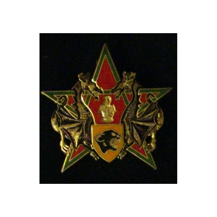 31° RG : 31° RÉGIMENT DU GÉNIE 12° COMPAGNIE