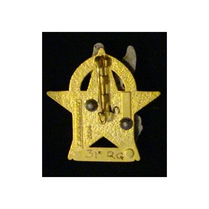 31° RG : 31° RÉGIMENT DU GÉNIE CAS MODÈLE NON RETENU