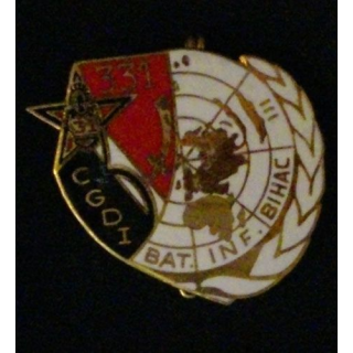 31° RG : 31° RÉGIMENT DU GÉNIE 331° CGDI BATINF BIHAC