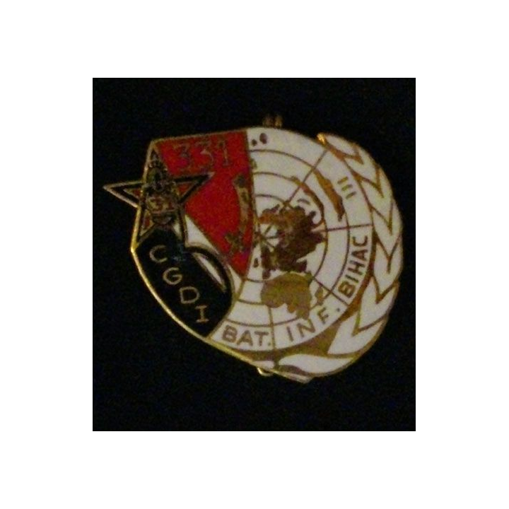 31° RG : 31° RÉGIMENT DU GÉNIE 331° CGDI BATINF BIHAC