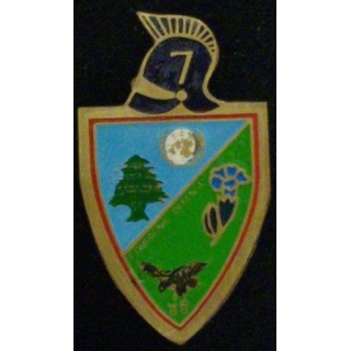 7° BGDA : 7° BON DU GÉNIE DE DIVISION ALPINE CIE DÉFENSE FINUL