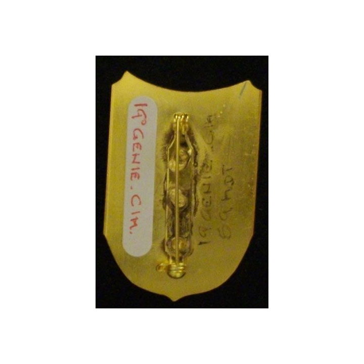 19° RG : 19° RÉGIMENT DU GÉNIE CIM 1 59°MANDAT