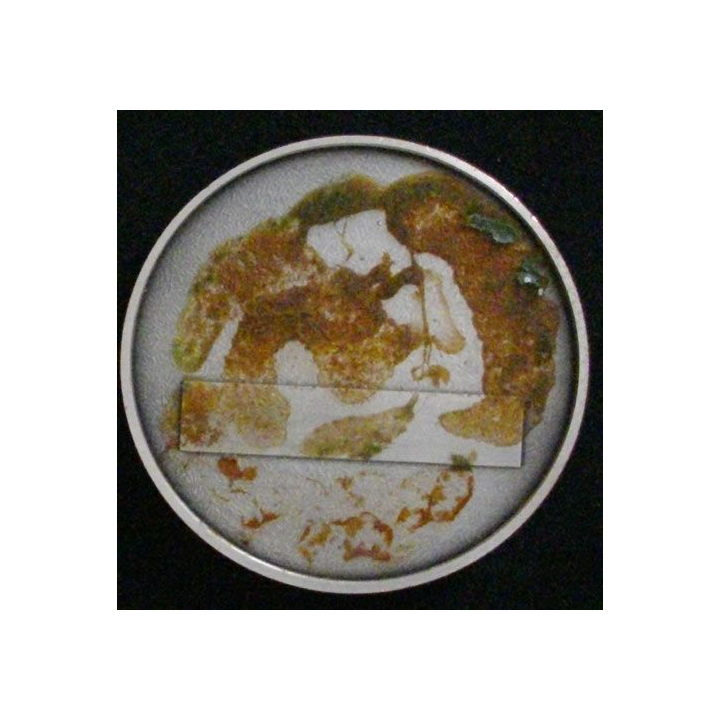 4° RG : PLAQUE DU 4° RÉGIMENT DU GÉNIE
