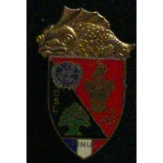 4° RG : 4° RÉGIMENT DU GÉNIE FINUL 420°DSL 13°MANDAT