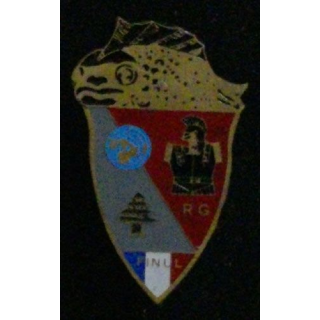 4° RG : 4° RÉGIMENT DU GÉNIE FINUL 420° DSL 13° MANDAT