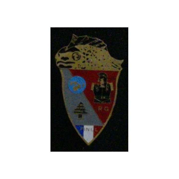 4° RG : 4° RÉGIMENT DU GÉNIE FINUL 420° DSL 13° MANDAT