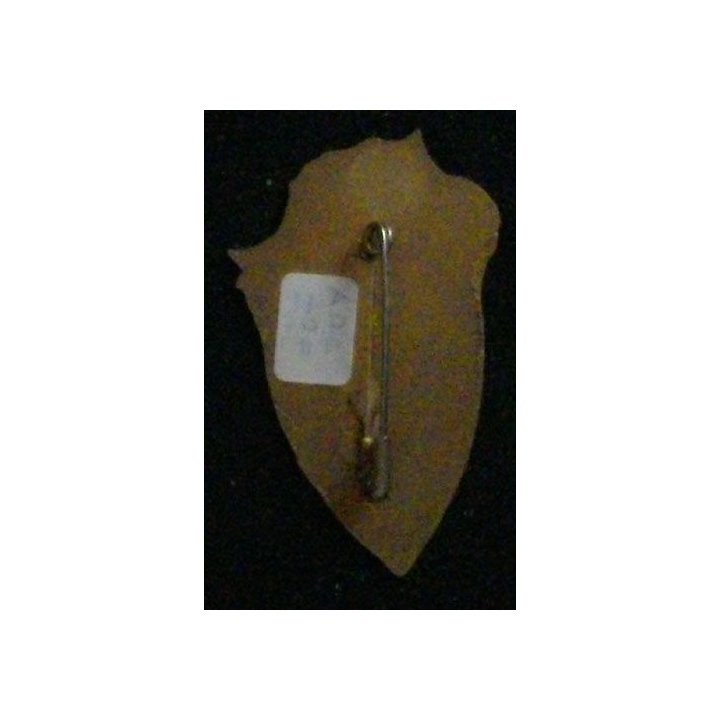 4° RG : 4° RÉGIMENT DU GÉNIE FINUL 420° DSL 13° MANDAT